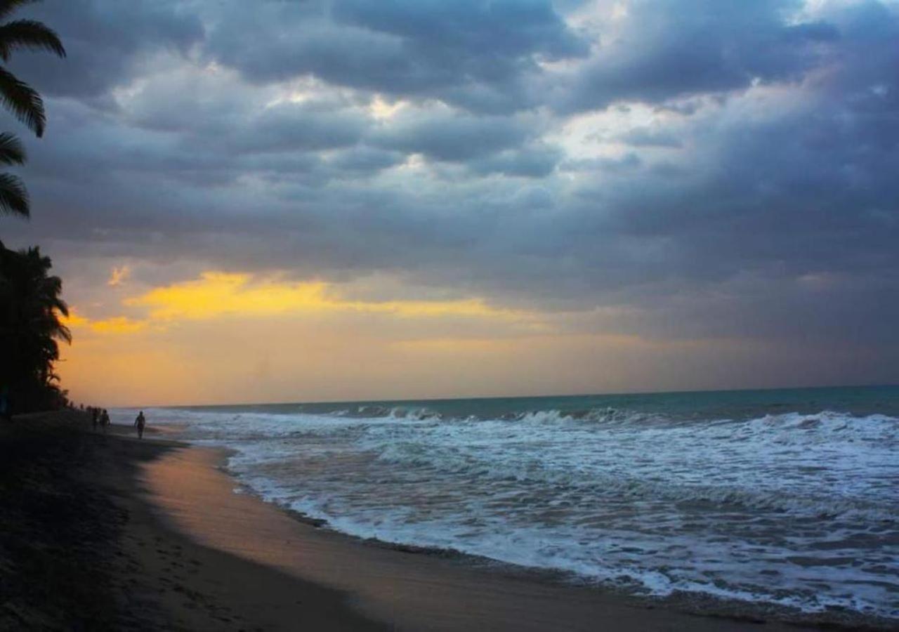 La Natura Hostel & Pool Palomino Εξωτερικό φωτογραφία
