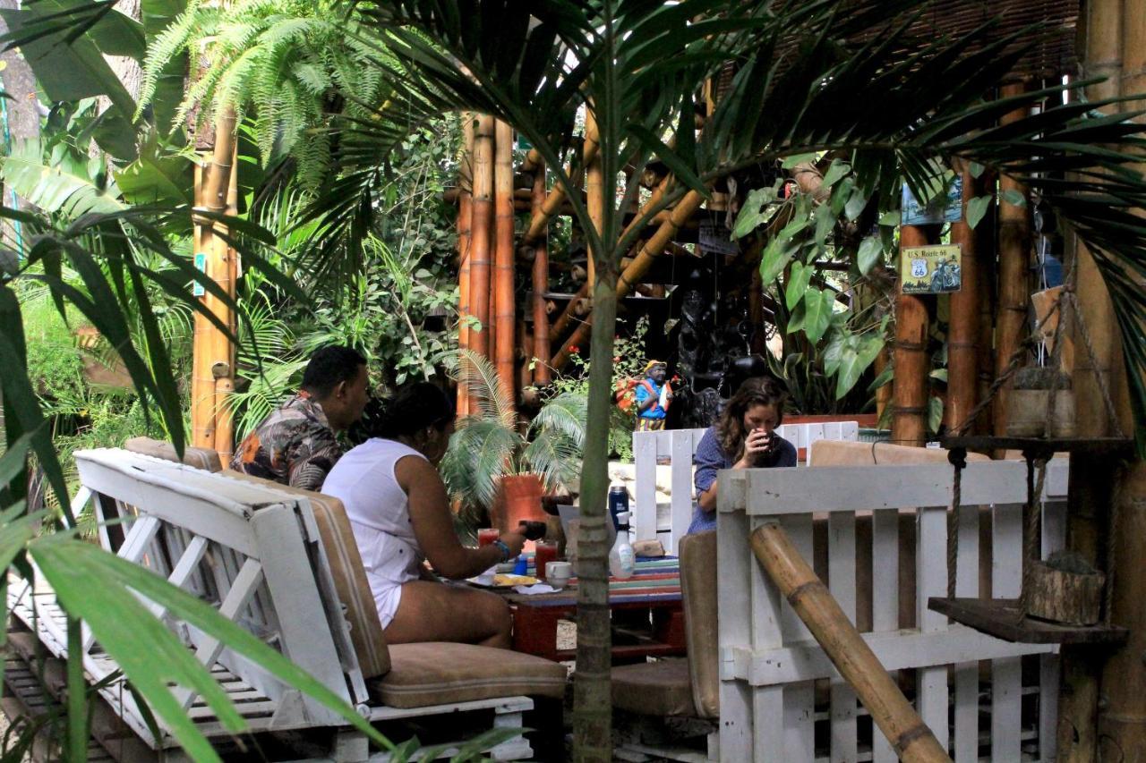 La Natura Hostel & Pool Palomino Εξωτερικό φωτογραφία